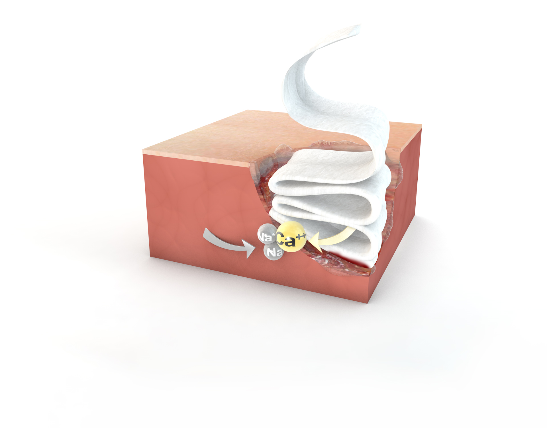 Surface Trauma Waterproof Alginate Dressing met Calcium